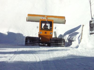 (Tannheim) Dominik BÃ¶senthal
