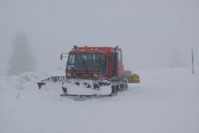 (Feldberg) JÃ¼rgen Pellengahr
