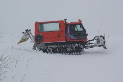 (Feldberg) JÃ¼rgen Pellengahr
