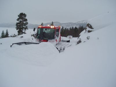 (Aseral / Norwegen) Ruber Bortelid
