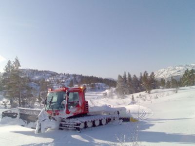 (Aseral / Norwegen) Ruber Bortelid
