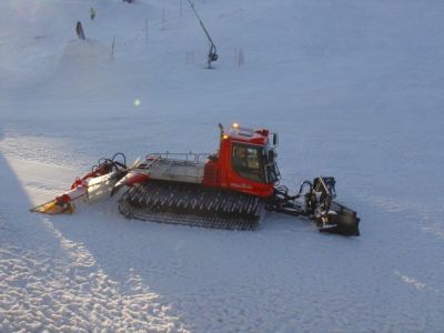 (Feldberg) Horst Zimmermann
