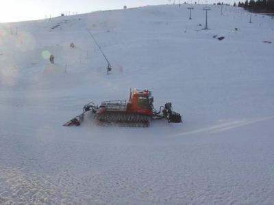 (Feldberg) Horst Zimmermann
