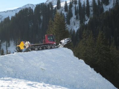 (DamÃ¼ls/Bregenzerwald) Helmut Urbansky
