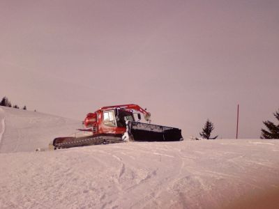 (Steinplatte / Ã–sterreich) Frank Lammering
