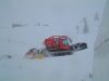 Dateiname=polar_114.jpg
Dateigröße=30KB
Abmessungen: 640x480
hinzugefügt am: 12. März 2006 polar_114.jpg