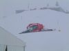 Dateiname=polar_116.jpg
Dateigröße=26KB
Abmessungen: 640x480
hinzugefügt am: 12. März 2006 polar_116.jpg