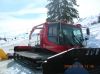 polar_327.jpg