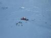 polar_444.jpg