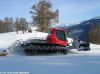 polar_570.jpg