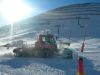 polar_817.jpg