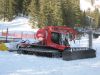 polar_825.jpg