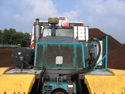 (Bei Papenburg, im Torfabbau), JÃ¼rgen Pellengahr
Schlüsselwörter: Sommerraupe