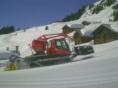 (Meiringen / Hasliberg) Fridl FÃ¤ssler
