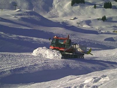 (Hoch Ybrig) Fridl FÃ¤ssler
