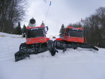 romulus_002.jpg