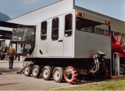 husky 005
