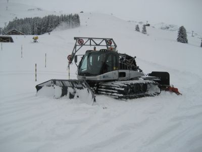 (Lenk) Peter Allemann
