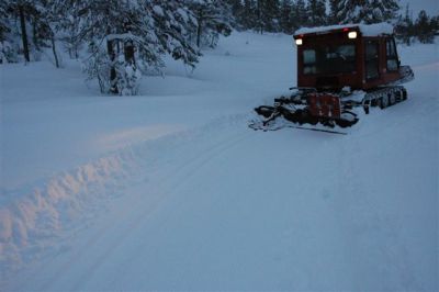 (Storen / Norwegen) Per Einar Bakkebo
