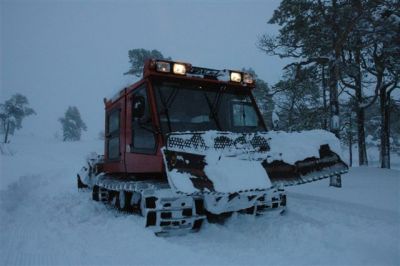 (Storen / Norwegen) Per Einar Bakkebo
