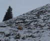 Dateiname=snowboss_002.jpg
Dateigröße=144KB
Abmessungen: 1000x811
hinzugefügt am: 06. Januar 2007 snowboss_002.jpg
