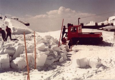 (Nebelhorn) H. LÃ¶per
